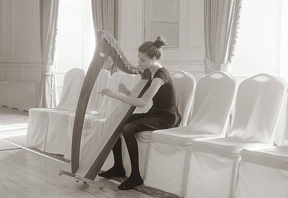 The Harpist by Edward Shmunes The Harpist by Edward Shmunes