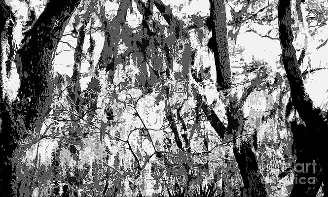 The Heart of the Forest by Sharon Williams Eng The Heart of the Forest by Sharon Williams Eng