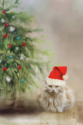 Jai Johnson Christmas Cards Wall Art Visit a nearby at home store for the full decorate each room in your house with the colors of the season with christmas wall decor from at the at home insider perks credit card is not accepted for online purchases at this time, but can. jai johnson christmas cards wall art