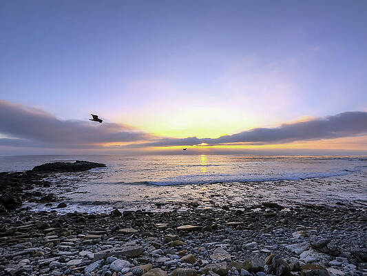 Wall Art - Photograph - The Last Glide for the Day by Joe Schofield