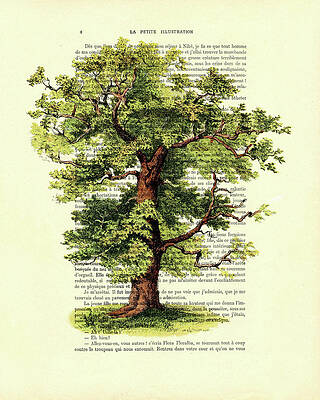 The Oak Tree by Madame Memento The Oak Tree by Madame Memento