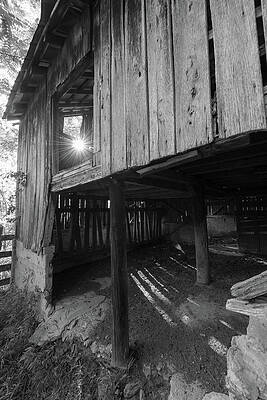 The Old Cow Barn in Black and White by Nadine Parker The Old Cow Barn in Black and White by Nadine Parker