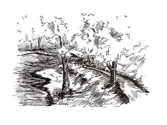 Wall Art - Drawing - The Path by the Pond by Joseph A Langley