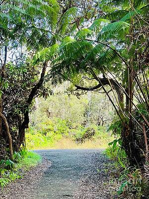 Wall Art - Photograph - The Path Forward by Saving Memories By Making Memories