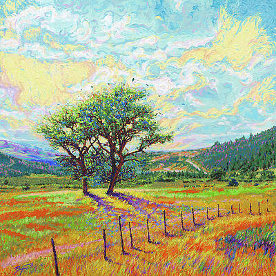 The Pioneers by Darien Bogart The Pioneers by Darien Bogart