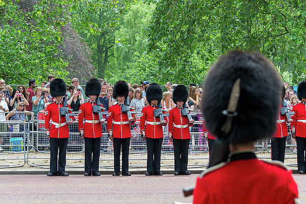 The Queens Guard on the Mall by Andrew Lalchan The Queens Guard on the Mall by Andrew Lalchan