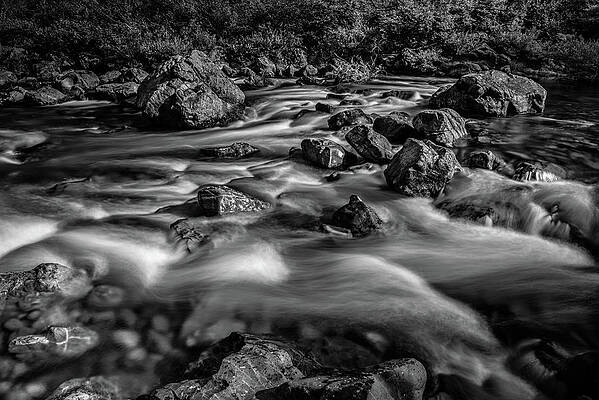 The Rapids Monochrome by George Buxbaum The Rapids Monochrome by George Buxbaum