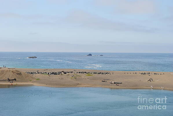 The river and the ocean by Steven Wills The river and the ocean by Steven Wills