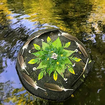 Nature's Resting Places by Moriah Mylod Nature's Resting Places by Moriah Mylod