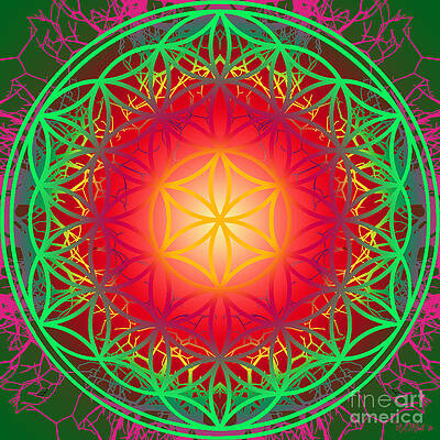 The Sacred Tree and The Flower of Life 13 by Walter Neal The Sacred Tree and The Flower of Life 13 by Walter Neal
