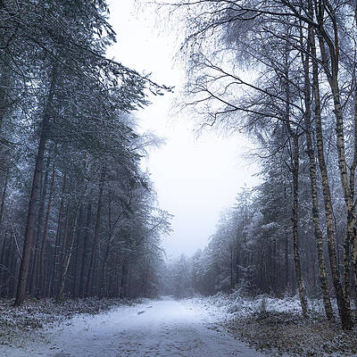The Secret Trail by Steve Pike The Secret Trail by Steve Pike