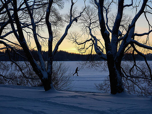 The skier on the ice by Jouko Lehto The skier on the ice by Jouko Lehto