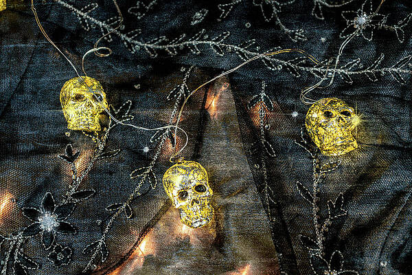 The Skulls of Her Enemies by Sharon Popek The Skulls of Her Enemies by Sharon Popek
