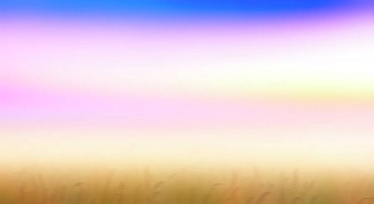 Wall Art - Photograph - The Soft Hues of a New Day Over a Field of Wheat Inspiring Serenity and Reflection by Bob Orsillo