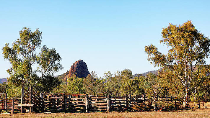 The Stockyards by Nicholas Blackwell The Stockyards by Nicholas Blackwell