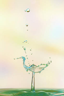Wall Art - Photograph - The Stork by Sue Leonard