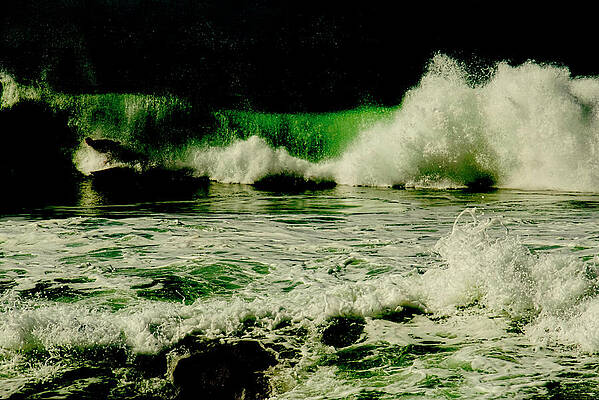 The Surfer by Lucinda Walter The Surfer by Lucinda Walter