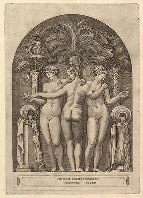 The Three Graces Print by Marco Dente