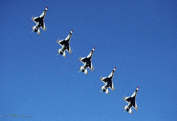 The Thunderbirds by Trusalda Speight The Thunderbirds by Trusalda Speight