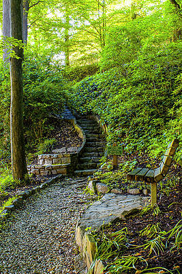 Wall Art - Photograph - The Uneven Steps by Denise Harty