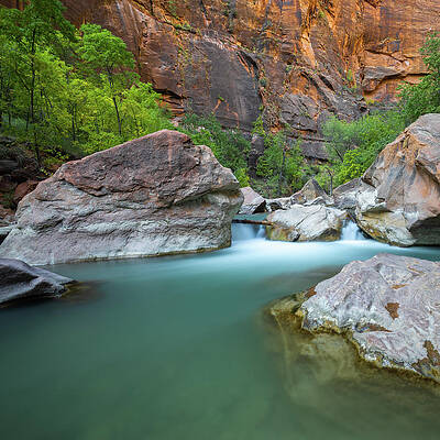 The Virgin River Zion National Park by Donnie Whitaker The Virgin River Zion National Park by Donnie Whitaker