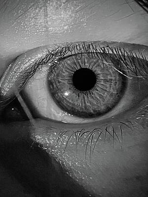 The Window to the Soul by Natalie Collins