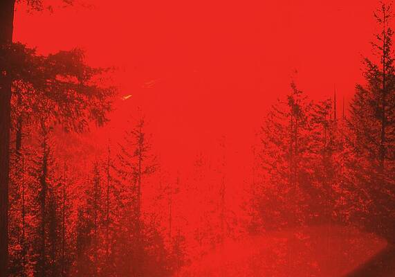 Wall Art - Photograph - The World is Burning by Lawrence Christopher