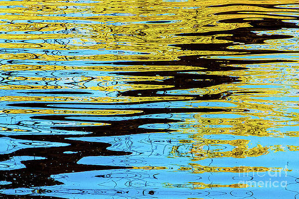 Wall Art - Photograph - Them versus Us by Marilyn Cornwell