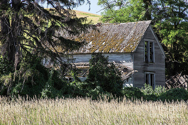 This Old House by Kathy McClure This Old House by Kathy McClure