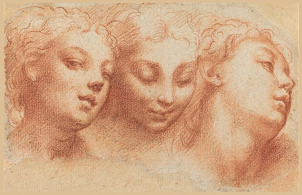 Three Feminine Heads Print by Parmigianino