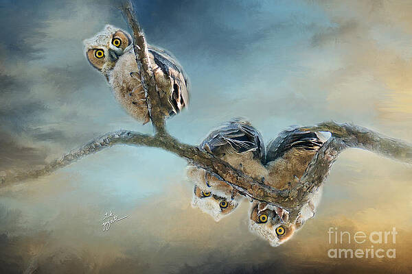 Wall Art - Photograph - Three Funny Baby Great Horn Owls by TK Goforth