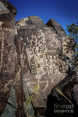 Three Rivers Petroglyphs #31 by Blake Webster Three Rivers Petroglyphs #31 by Blake Webster