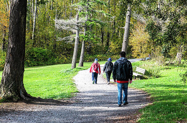Three Walking at Lake Padden by Tom Cochran Three Walking at Lake Padden by Tom Cochran
