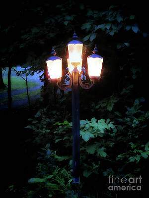 through the night by AnnMarie Parson-McNamara through the night by AnnMarie Parson-McNamara