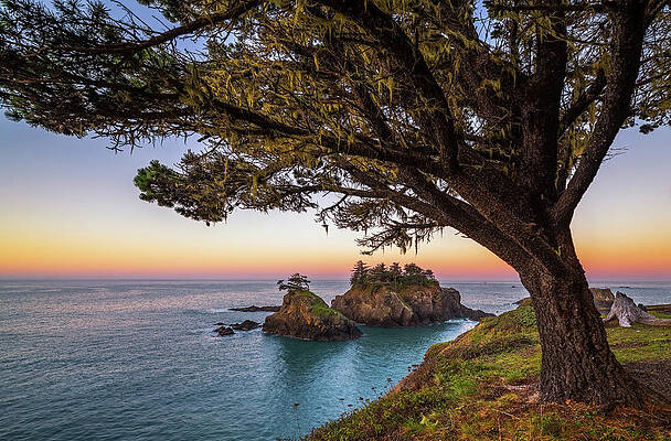 Wall Art - Photograph - Thunder Cove Sunrise by Darren White