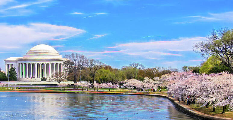 Wall Art - Photograph - Tidal Basin in the Spring by Kathi Isserman