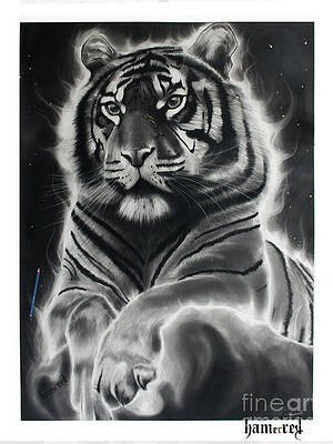 Save Tiger Drawings for Sale  Fine Art America