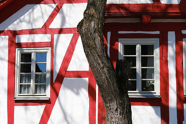 Wall Art - Photograph - Timber Frame and Tree Trunk - Sindelfingen Facade Detail by Matthias Hauser