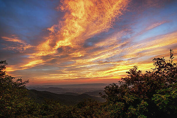 Timber Overlook Sunset 1 by Lara Ellis Timber Overlook Sunset 1 by Lara Ellis