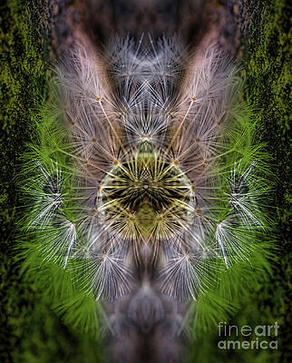 Time by Gillian Singleton Time by Gillian Singleton