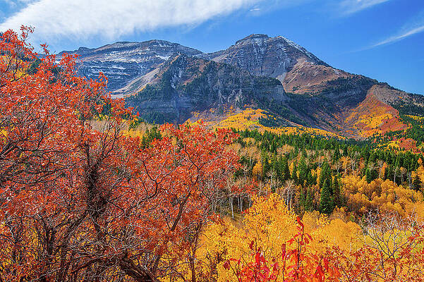 Wall Art - Photograph - Timpanogos Colors by Abbie Matthews