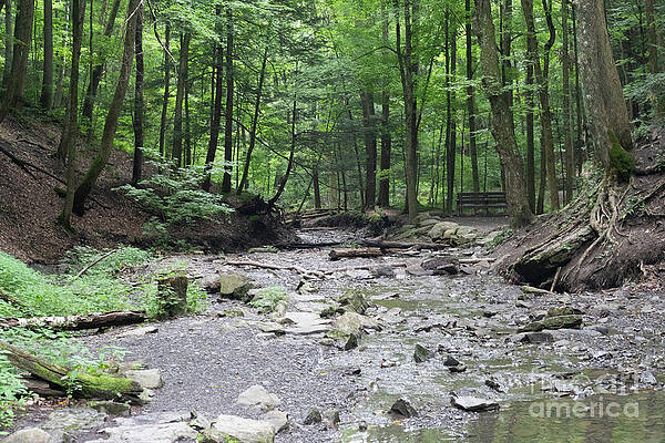 Tinker Falls 13 by William Norton Tinker Falls 13 by William Norton