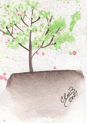 Tiny Tree by Candace Bailly Tiny Tree by Candace Bailly