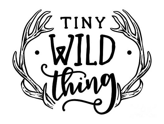https://render.fineartamerica.com/images/images-profile-flow/400/images/artworkimages/mediumlarge/3/tiny-wild-thing-quote-wild-and-boho-gift-idea-slogan-funny-gift-ideas.jpg