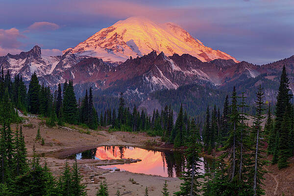 Tipsoo Sunrise by Patrick Campbell Tipsoo Sunrise by Patrick Campbell