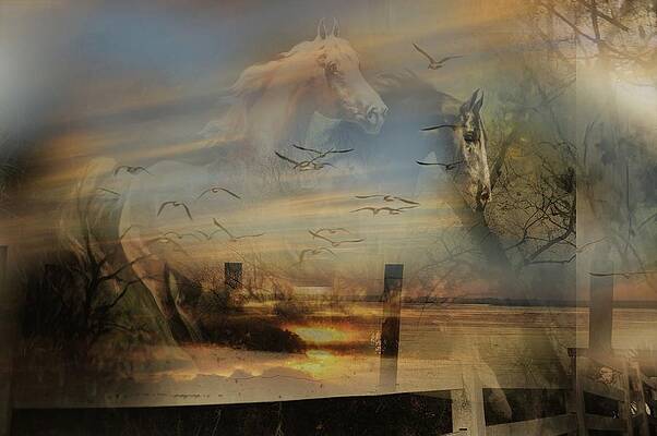 ..to Save Us All From Pain And Sorrow... by David Michael-Baldwin