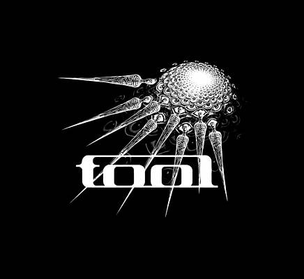 Tool Band  by Syed Montoya
