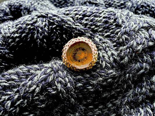 Wall Art - Photograph - Top of an Acorn on Wool  by Brandon Strellis