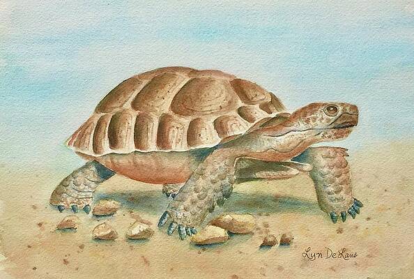 Turtle Rock Paintings Page 2 Of 2 Fine Art America