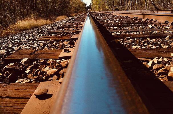 Wall Art - Photograph - Tracks by Richard Conti